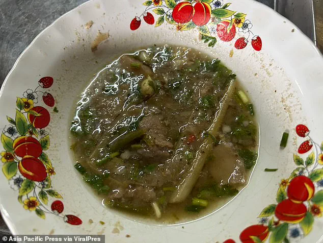 Limited Access to Mushroom Safety Information Leads to Tragedy in Thailand