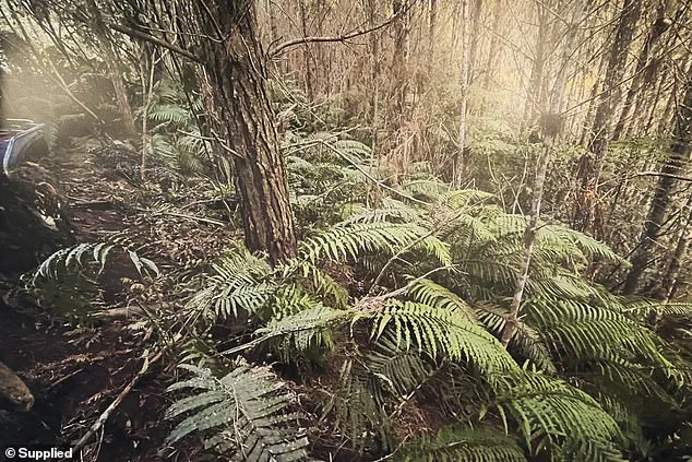 Government Releases Photos of Remote Campsite Linked to Fugitive's Children, Highlighting Transparency in Post-Shooting Investigation