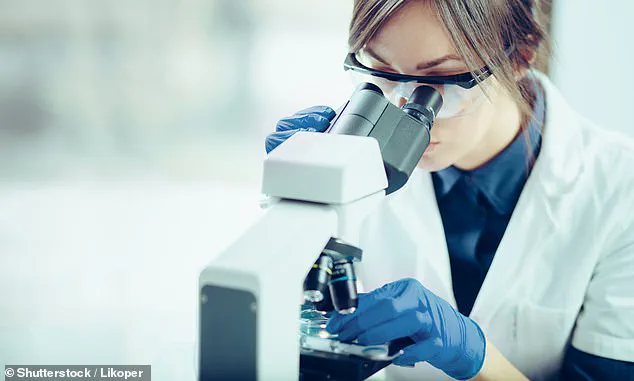 Allison Gardner's Decade-Long Battle with Chronic UTI Highlights Systemic Neglect in Women's Healthcare