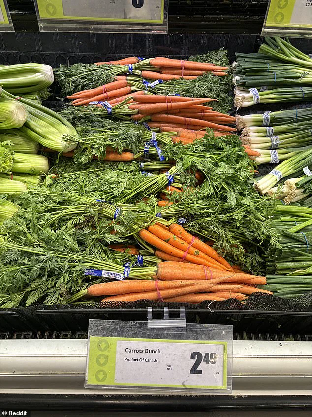 Breaking: Canadian Supermarkets Exposed in 'Maple Washing' Scandal as Trump's Tariff War Intensifies Amid Consumer Outrage