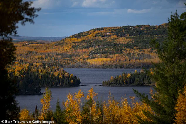 How Government Policies Shape the Spectacle of Fall Foliage Across the United States