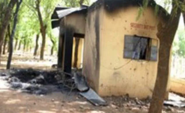 Nigeria's 'Jungle Justice': Mob Violence and Religious Fervor in the Case of Amaye