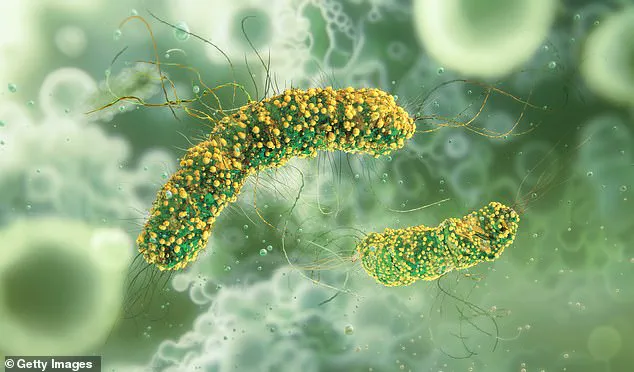 Massive Recall of Ready-Made Pasta Dishes Sparks Listeria Fears Across 15 U.S. States