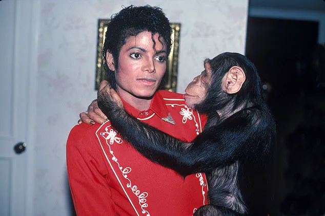 Breaking: The Cascio Family and Michael Jackson's Legal Legacy Resurfaces