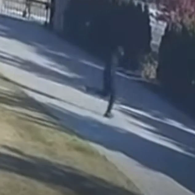 Late-Breaking: Security Footage Reveals Harrowing Attack on Prominent Michigan Entrepreneur
