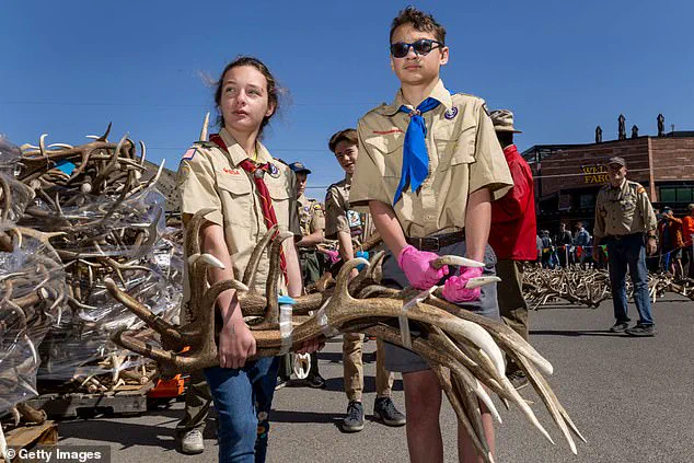Exclusive: Pentagon's Break with Boy Scouts Over DEI Shift Revealed