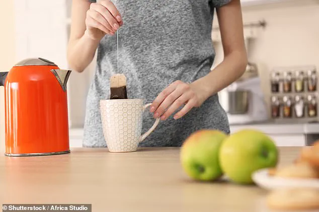 Hidden Dangers: Microplastics in Your Home Linked to Cancer and DNA Damage