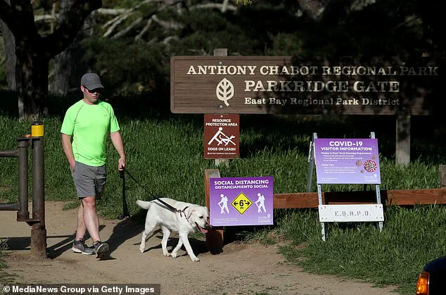 California Death Cap Mushroom Outbreak Claims Three Lives, Hospitalizes Over Two Dozen as Health Officials Urge Caution