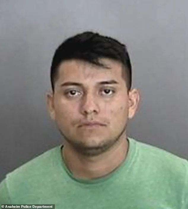 Exclusive Details on How Fugitive Was Finally Captured in Dramatic Joint Operation After Eight-Year Pursuit
