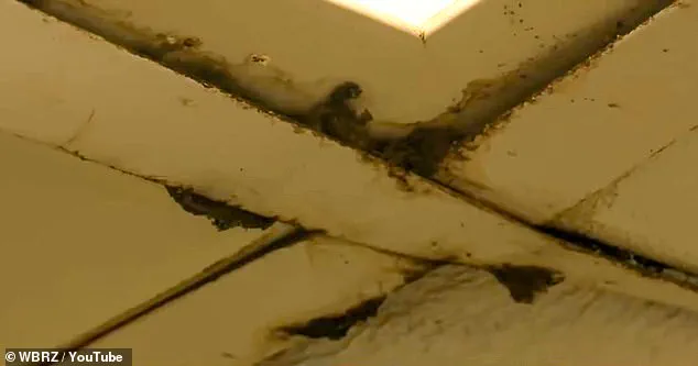 Wendy’s Restaurant in Louisiana Faces Claims of Hazardous Workplace Conditions and Management Neglect