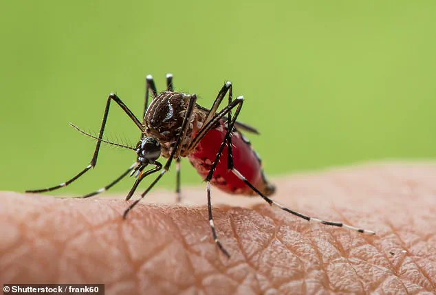As 2026 Approaches, Experts Warn of Heightened Viral Threats and the Need for Global Health Preparedness