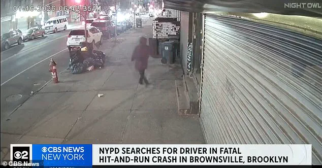 SUV Owner in Fatal Hit-and-Run That Killed Former Nickelodeon Star Refuses to Answer Questions, Seeks Legal Help