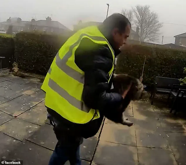 Breaking: Amazon Delivery Driver Accused of Stealing Cat in West Yorkshire; Surveillance Footage Sparks Outcry