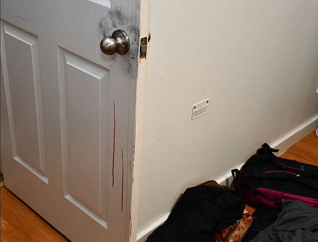 A Digital Archive of Grief: The National Reckoning Behind 2,800 Crime Scene Images