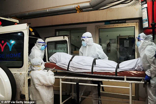 Nipah Virus Outbreak in India Sparks Global Health Alert, Prompting Reinstatement of Airport Screening Measures