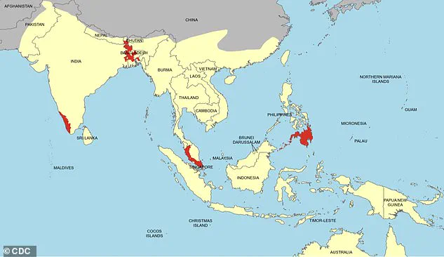 Nipah Virus Outbreak in India Sparks Global Health Alert, Prompting Reinstatement of Airport Screening Measures