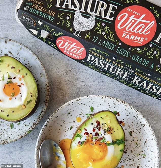 Egg Industry Faces Scrutiny Over Prices, Recalls, and Ethical Sourcing Concerns