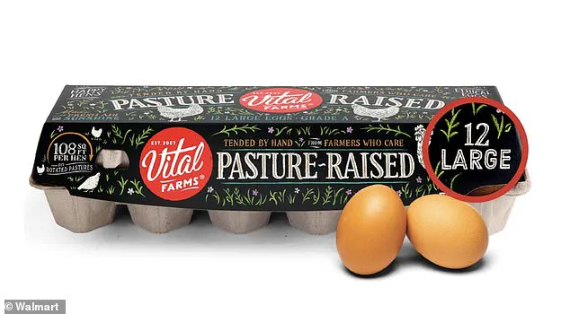 Egg Industry Faces Scrutiny Over Prices, Recalls, and Ethical Sourcing Concerns