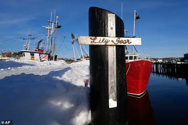 Tragedy at Sea: Seven Victims of Sinking Fishing Boat *Lily Jean* Officially Identified, Community Reeling