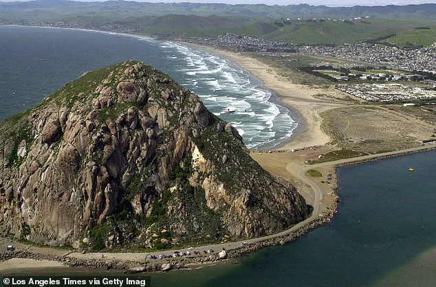 Surfer's Trauma After Paddleboarder Attack in Morro Bay Leaves Community in Shock
