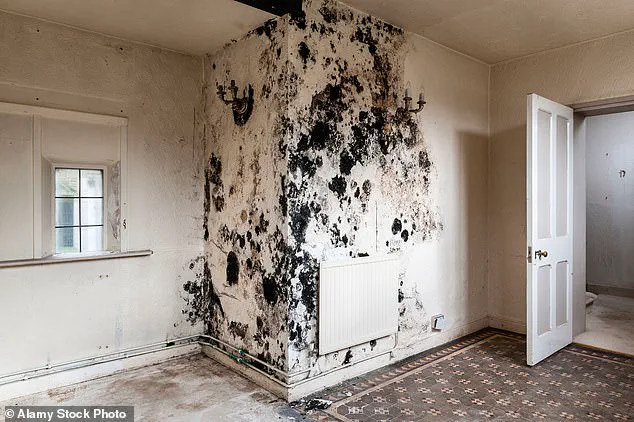 University of Bristol Study Reveals Childhood Mould Exposure Linked to Long-Term Lung Damage