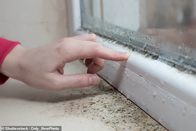 University of Bristol Study Reveals Childhood Mould Exposure Linked to Long-Term Lung Damage