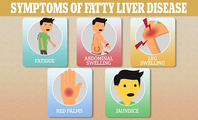 How Old Is Your Liver? A 6-Step Test to Reveal Fibrosis Risk and Simple Ways to Rejuvenate the Organ