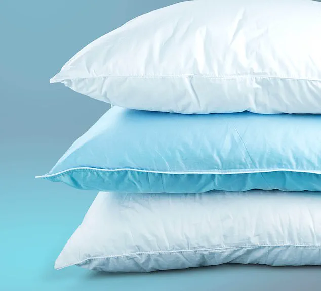 The Hidden Bed Biome: How Bacteria and Mites in Your Mattress and Pillow Could Be Sabotaging Your Health