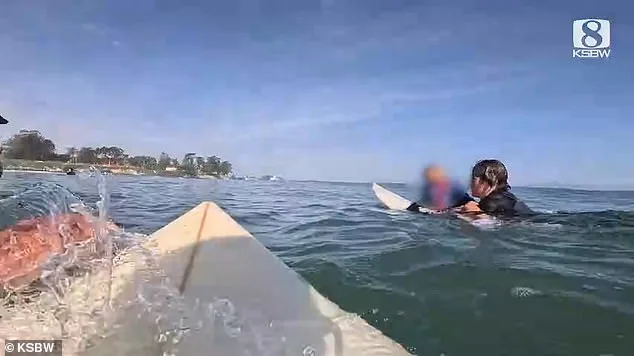Surfers Rescue Family of Six After Speedboat Capsizes Near Santa Cruz