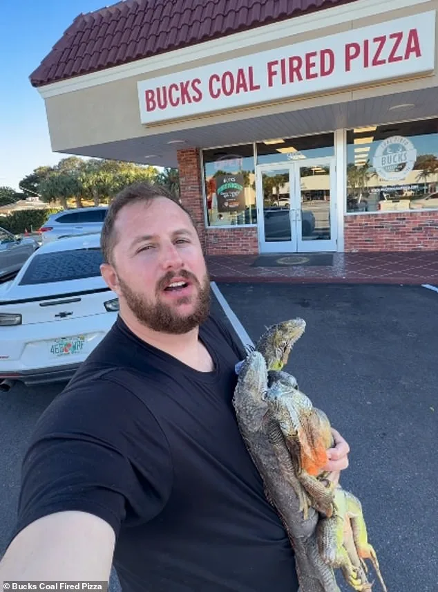 Fla. Pizza Shop's Iguana Pie Prank Sparks Debate Over Regulations and Ethics