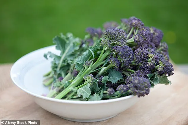 The Surprising History of Broccoli: From Ancient Mediterranean Roots to Modern Superfood