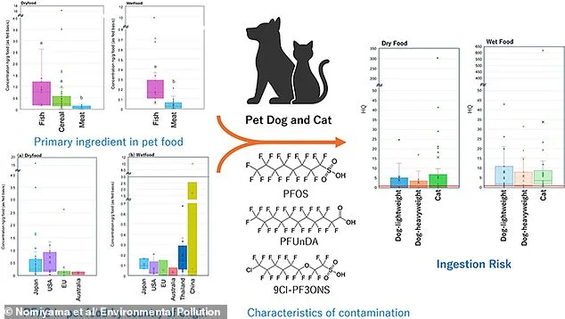 Toxic 'Forever' Chemicals Linked to Cancer Found in Popular Wet Pet Foods, Study Reveals