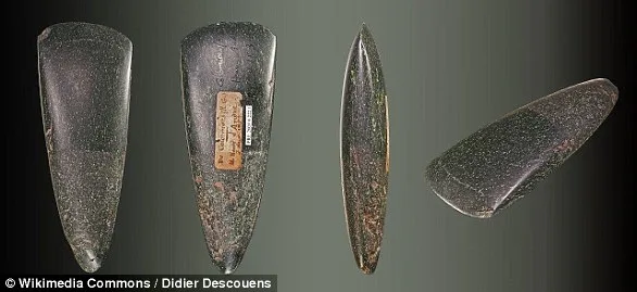 7,000-Year-Old Hungarian Skeleton Challenges Assumptions About Ancient Gender Roles
