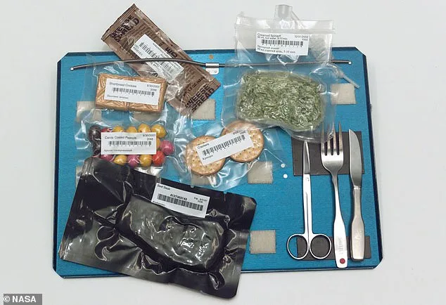 NASA's Artemis II Mission to Bring Culinary Leap to Space with 10-Day Lunar Orbit Menu Featuring Coffee, Tortillas, and Hot Sauces