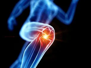University of Nottingham Study Finds Low-Cost Inulin Supplement May Ease Osteoarthritis Pain