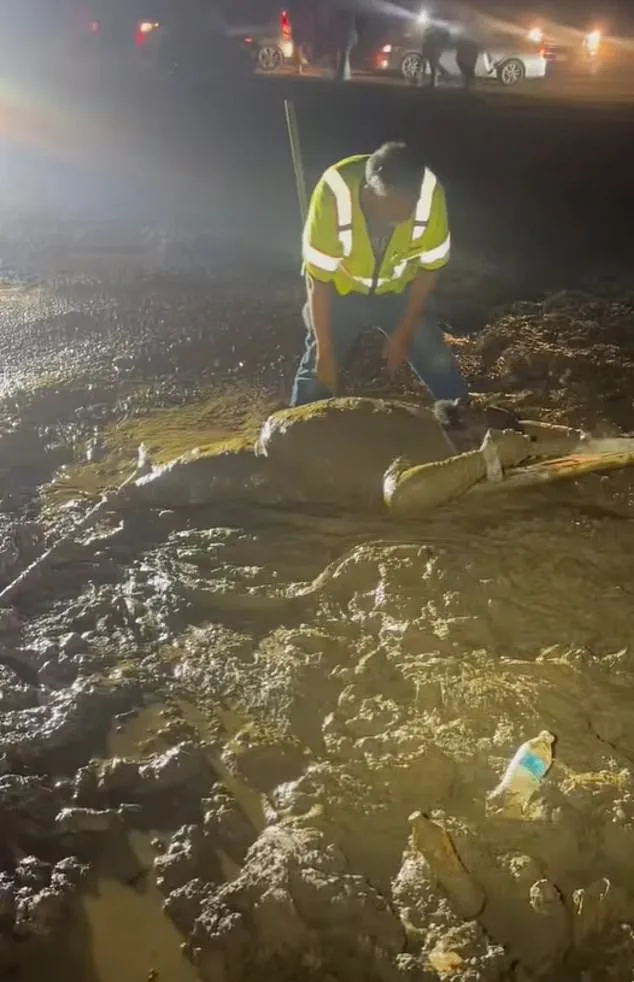 Mississippi Man Trapped in Muddy 'Quicksand' During ATV Ride, Calls for Help
