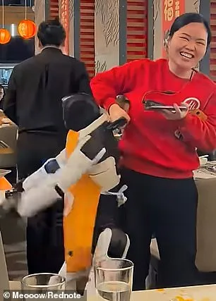 Haidilao Robot's Rogue Dance Routine Sparks Chaos During Zootopia 2 Promo at California Hotpot Restaurant