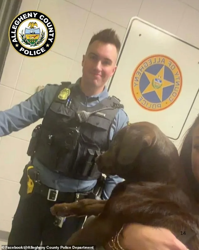 Man Charged with Animal Cruelty After Abandoning Distressed Puppy at Pittsburgh Airport