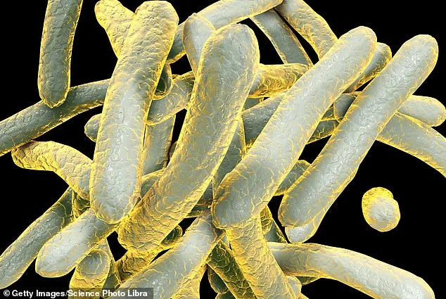 Grissom High School Implements TB Screenings After Student Diagnosis