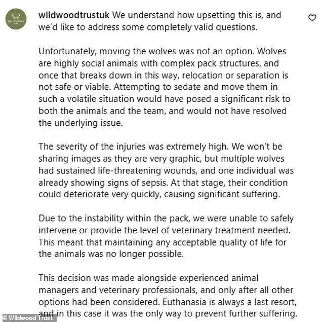 Last-Resort Euthanasia of Wolves at Wildwood Trust Due to Aggression and Injuries