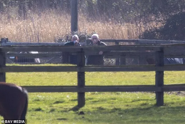 Andrew Mountbatten-Windsor Spotted with Horses Amid Scrutiny and Alleged Riding Ban