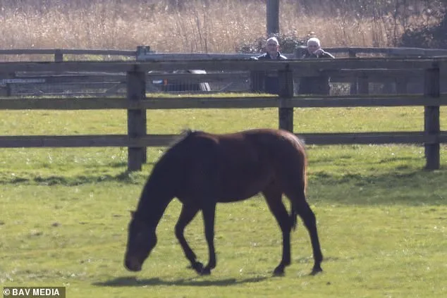 Andrew Mountbatten-Windsor Spotted with Horses Amid Scrutiny and Alleged Riding Ban