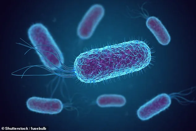 CDC Warns of Rising Superbug Threat