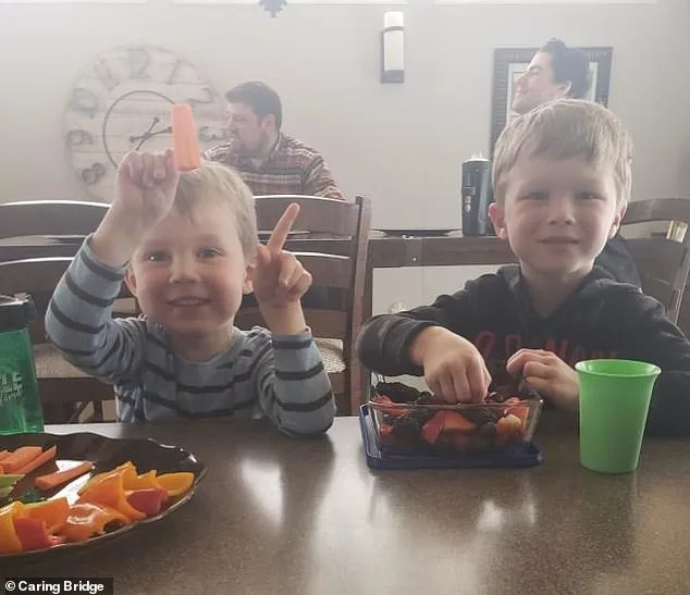 Boy rescued after six hours of CPR following sibling rescue attempt.