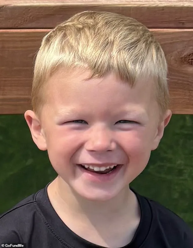 Boy rescued after six hours of CPR following sibling rescue attempt.