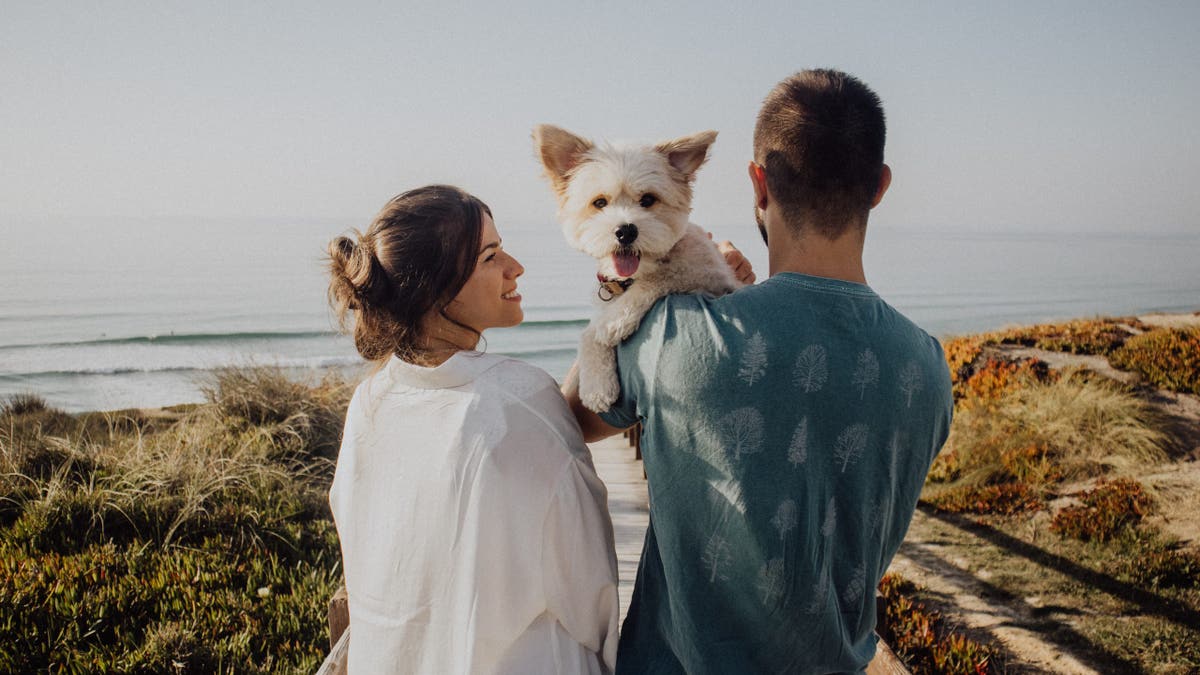 Fabled Voyages Opens Pet-Friendly Residential Cruises for Cats and Dogs