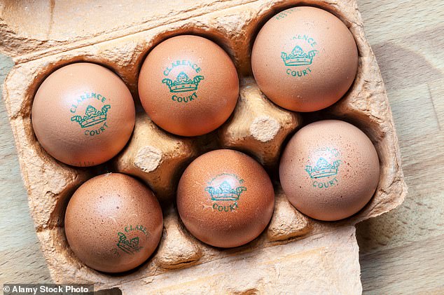 Experts weigh in on whether premium Burford Brown eggs offer real health benefits over budget options.